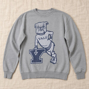 Yale University Bulldog Sweatshirt Gray Adult Small Block Y Crewneck